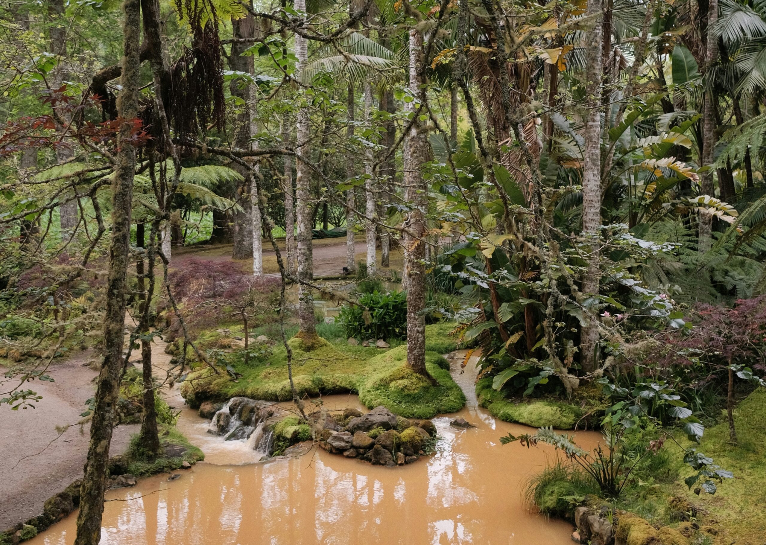 Thermal forest